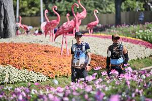 BIB: 
                            <button type="button" onclick="openModal(27793020)" class="btn btn-primary btn-sm float-right btn-popup" data-toggle="modal" data-target=".modal-high-quality">
                        <i class="fas fa-shopping-cart"></i> Add to Cart
                    </button>
                                            <button type="button" onclick="isThisMe(27793020, true)" class="btn btn-success btn-sm float-right btn-popup btn-isme hidden" data-toggle="tooltip" data-placement="bottom" title="นี่คือรูปของคุณใช่ไหม คลิกที่นี่เพื่อเอาเข้าอัลบั้ม">
                        <i class="fas fa-plus"></i> Add to album
                    </button>
                    <button type="button" onclick="isThisMe(27793020, false)" class="btn btn-warning btn-sm float-right btn-popup btn-isnotme hidden">
                        <i class="fas fa-ban"></i> Remove from album
                    </button>